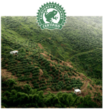 mastro lorenzo rainforest alliance certified