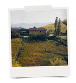 mastro lorenzo hometown instant film 2