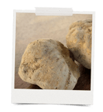 mastro lorenzo hometown instant film 4