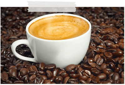 ernte aufbereitung und rostung des rohkaffees 4